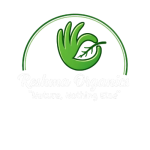 chatgpt image feb 12 2026 06 26 01 pm removebg preview